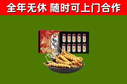 六安烟酒回收冬虫夏草礼盒.jpg